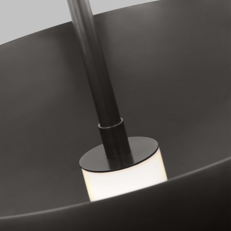 Alternate Image