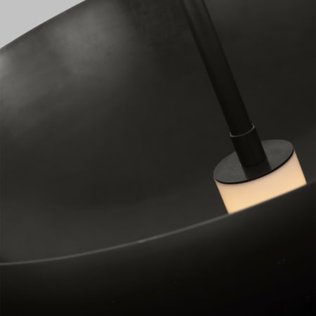 Alternate Image