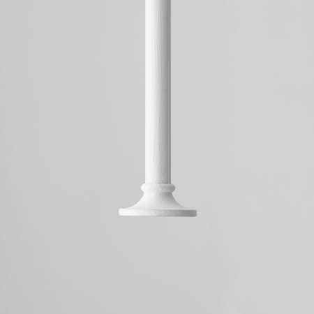Alternate Image