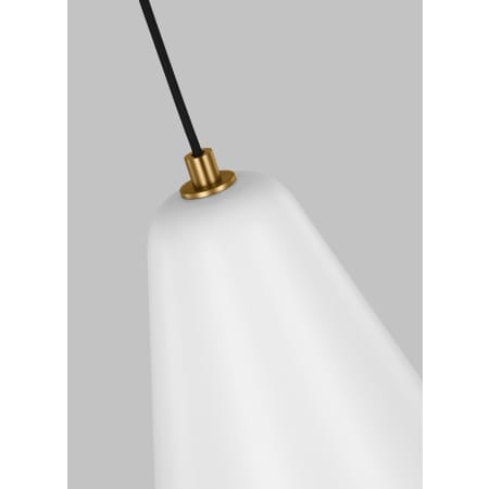 Alternate Image