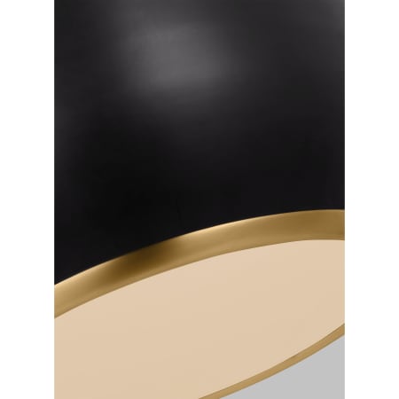 Alternate Image