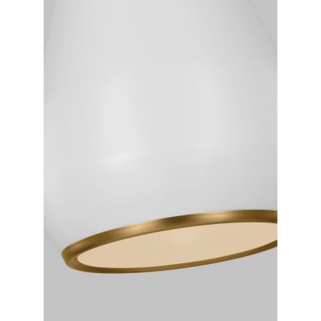 Alternate Image