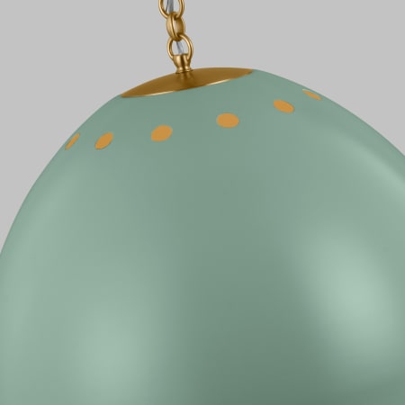 Alternate Image