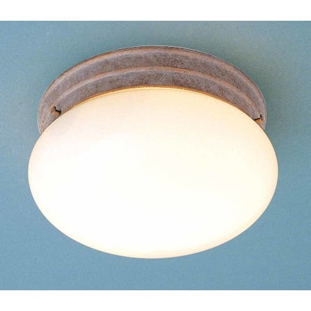 Volume Lighting 2 Light 9" Width Flush Mount Ceiling Fixture Prairie Rock