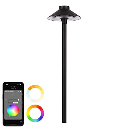 WAC Lighting Single Colorscaping 22" Tall 12V LED Center Mount Path Light Black