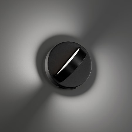 Alternate Image