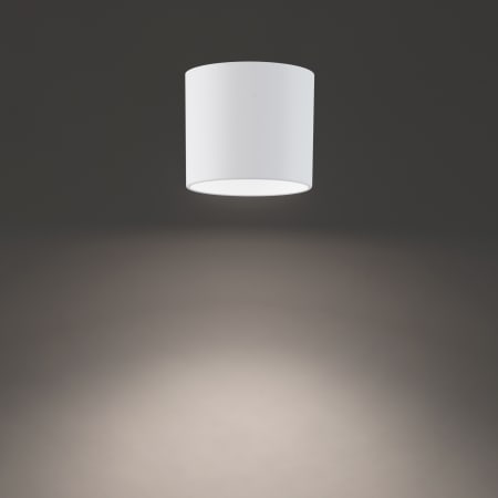 Alternate Image