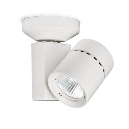 WAC Lighting Exterminator II 7 Inch Tall LED Accent Light with 55° Flood Beam Angle White / 4000K / 85CRI