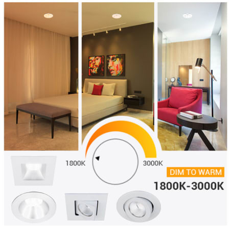 WAC Lighting-R3BRD-FWD-Dim to Warm Feature