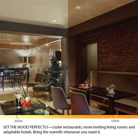 WAC Lighting-R3BSD-SWD-Application Image