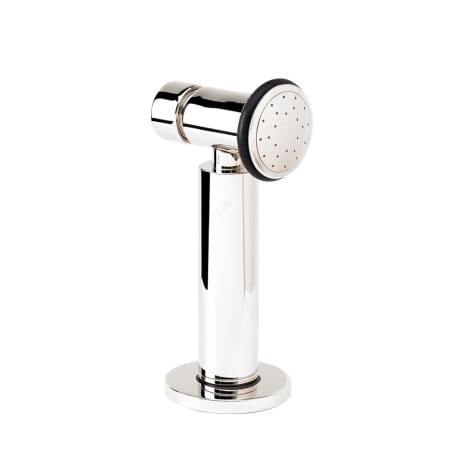 Polished Nickel