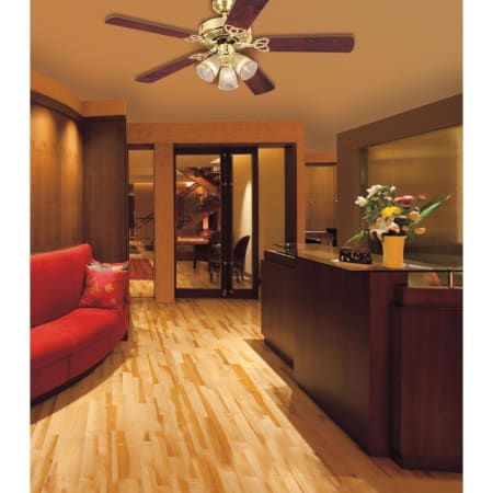 Westinghouse-4304500-Application Shot