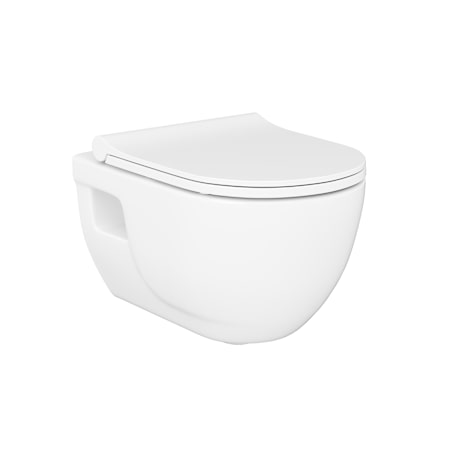 WS Bath Collections Charm 1.28 GPF Dual Flush Wall Mounted One Piece Elongated Toilet - Seat Included Glossy White
