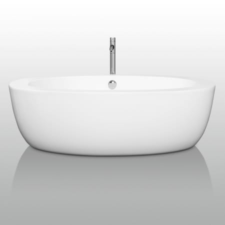 Front View of Tub with Chrome Tub Filler