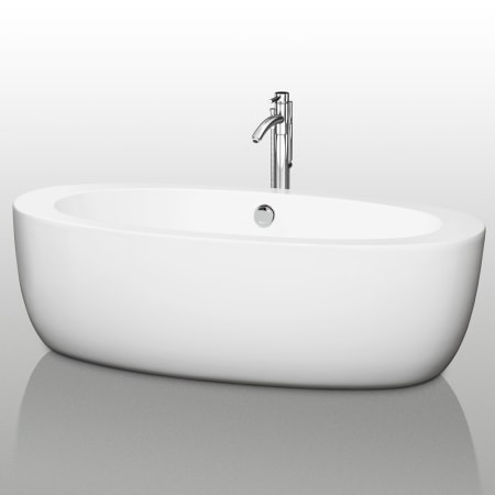 Side View of Tub with Chrome Tub Filler