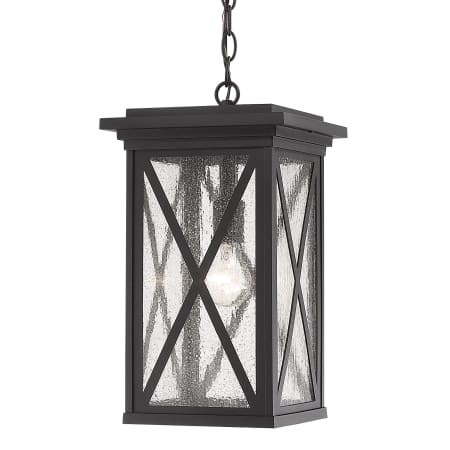 Z-Lite Brookside 10" Wide Outdoor Mini Pendant Black