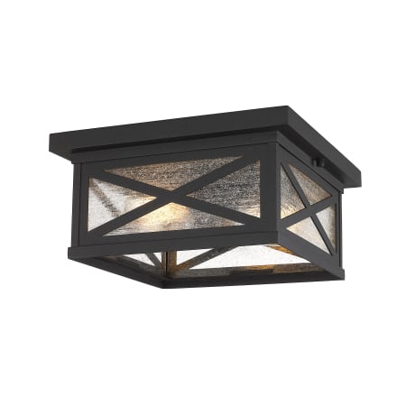 Z-Lite Brookside 2 Light 12" Wide Outdoor Flush Mount Ceiling Fixture Black