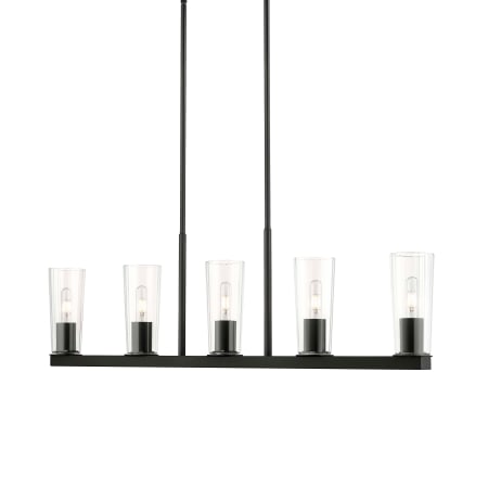 Z-Lite Titus 5 Light 44" Wide Linear Chandelier Matte Black