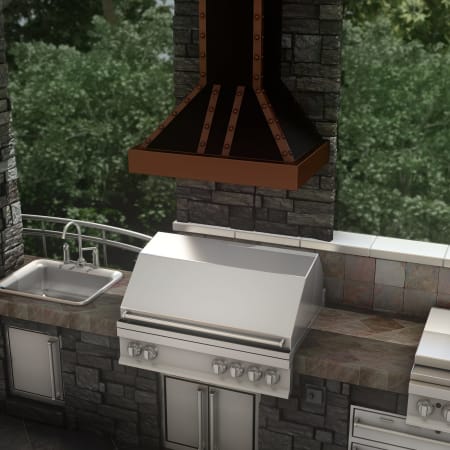 Alternate Image