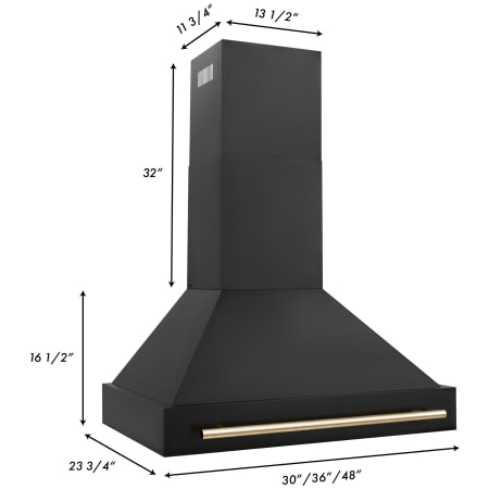 Alternate Image
