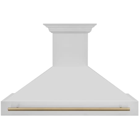 ZLINE Autograph Edition 280 - 700 CFM 48 Inch Wide Outdoor Wall Mounted Range Hood with Cosmetic Handle and LED Lights Stainless Steel / Champagne Bronze