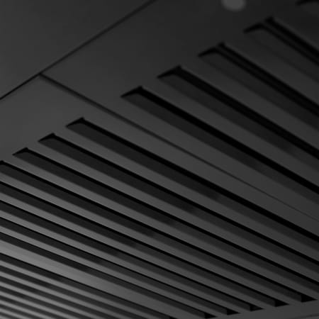 Alternate View
