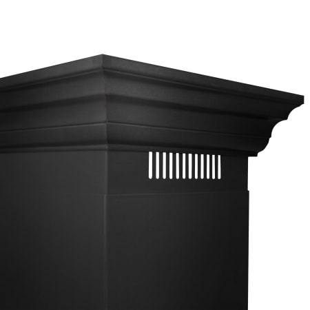 Alternate View