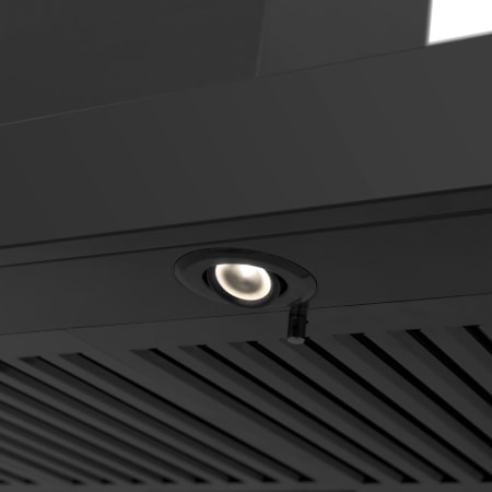 Alternate View