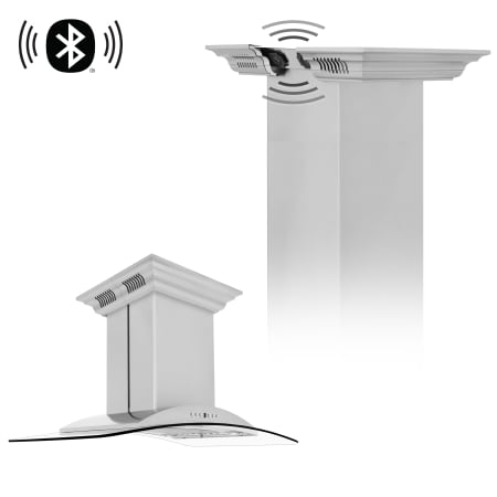 Alternate View