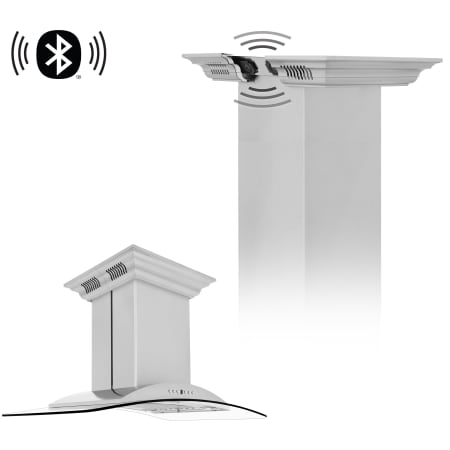Alternate Image
