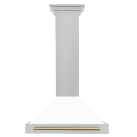 ZLINE Autograph Edition 120 - 400 CFM 30 Inch Wide Outdoor Wall Mounted Range Hood with 6 Inch Duct Size and Accent Handle Durasnow Stainless Steel / White Matte