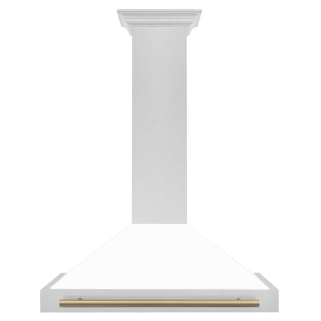 ZLINE Autograph Edition 120 - 400 CFM 36 Inch Wide Outdoor Wall Mounted Range Hood with Cosmetic Accent Handle and 6 Inch Duct Size Durasnow Stainless Steel / White Matte