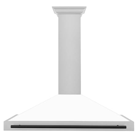 ZLINE Autograph Edition 120 - 400 CFM 48 Inch Wide Outdoor Wall Mounted Range Hood with 2 LED Lights and Accent Handle Durasnow Stainless Steel / White Matte