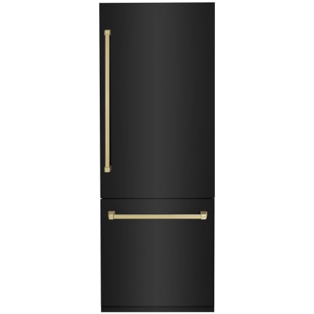 Black Stainless Steel / Champagne Bronze