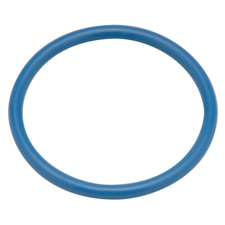 Zurn O-Ring for Tailpiece - Chemical-Resistant N/A