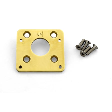 Zurn Temp-Gard Anchor Plate N/A