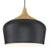 Access Lighting Blend 12" Wide LED Pendant - 3000K Black / Wood Grain