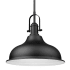 Acclaim Lighting Virginia Single Light 14" Wide Pendant with Metal Shade Matte Black
