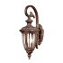 Acclaim Lighting Dylan Single Light 13" Tall Outdoor Wall Sconce Black Coral