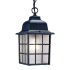 Acclaim Lighting Nautica 1 Light 12" Height Outdoor Pendant Matte Black