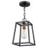 Acclaim Lighting Tiberton Single Light 8" Wide Mini Pendant with Raw Brass Sockets Oil Rubbed Bronze