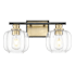 Acclaim Lighting Oxley 2 Light 18" Wide Vanity Light with Clear Glass Shades Matte Black / Brass