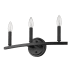 Acclaim Lighting Sawyer 3 Light 18" Wide Vanity Light Matte Black