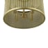 Alternate View