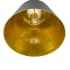 Alternate View