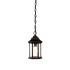 Acclaim Lighting Madison 1 Light Outdoor Pendant with Clear Seeded Glass Matte Black / Clear Seeded Glass