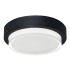 AFX Elm 11" Wide LED Flush Mount Drum Ceiling Fixture Black