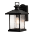 AFX Lennon 12" Tall Outdoor Wall Sconce with Water Glass Shade Black