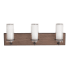 AFX Arden 3 Light 24" Wide Integrated LED Bathroom Vanity Light Oil Rubbed Bronze