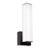 AFX Tad 14" Tall LED Wall Sconce Black